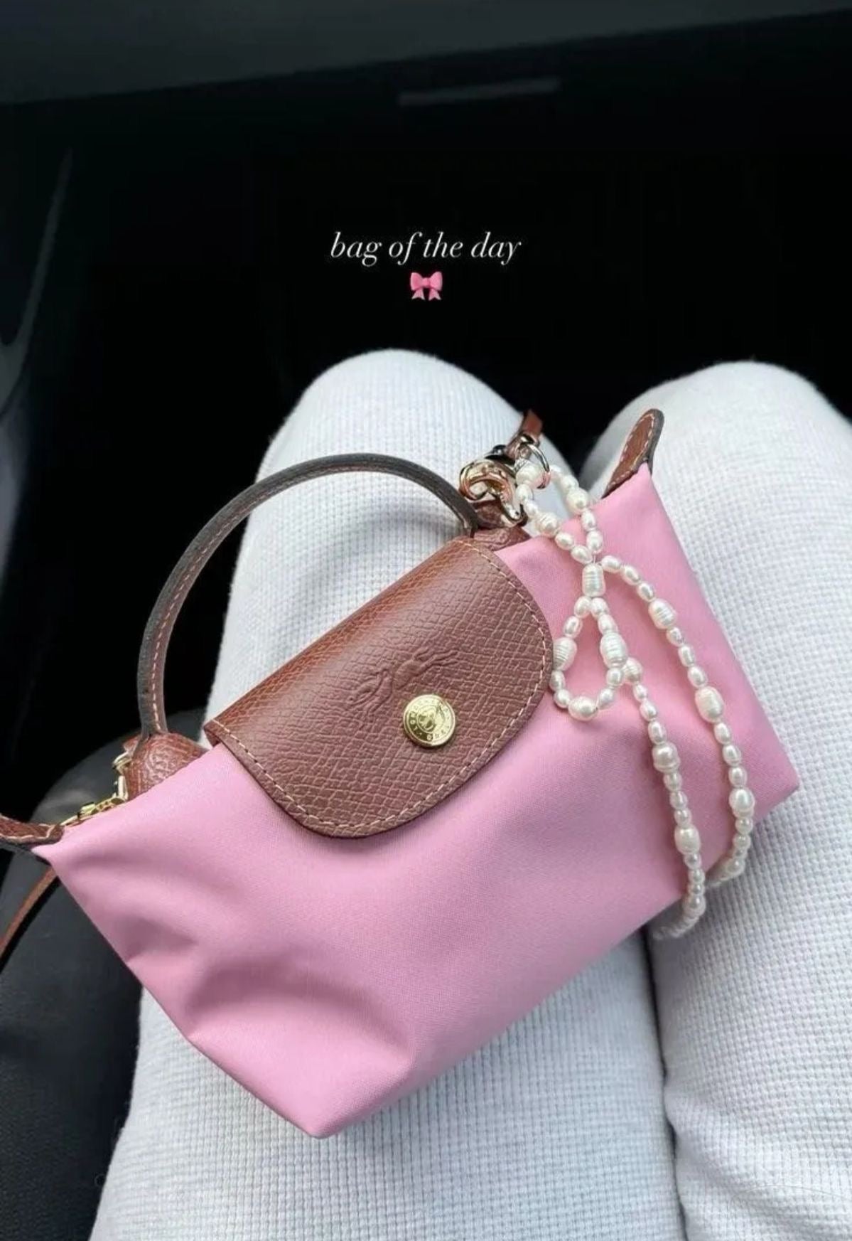Long Champ Mini