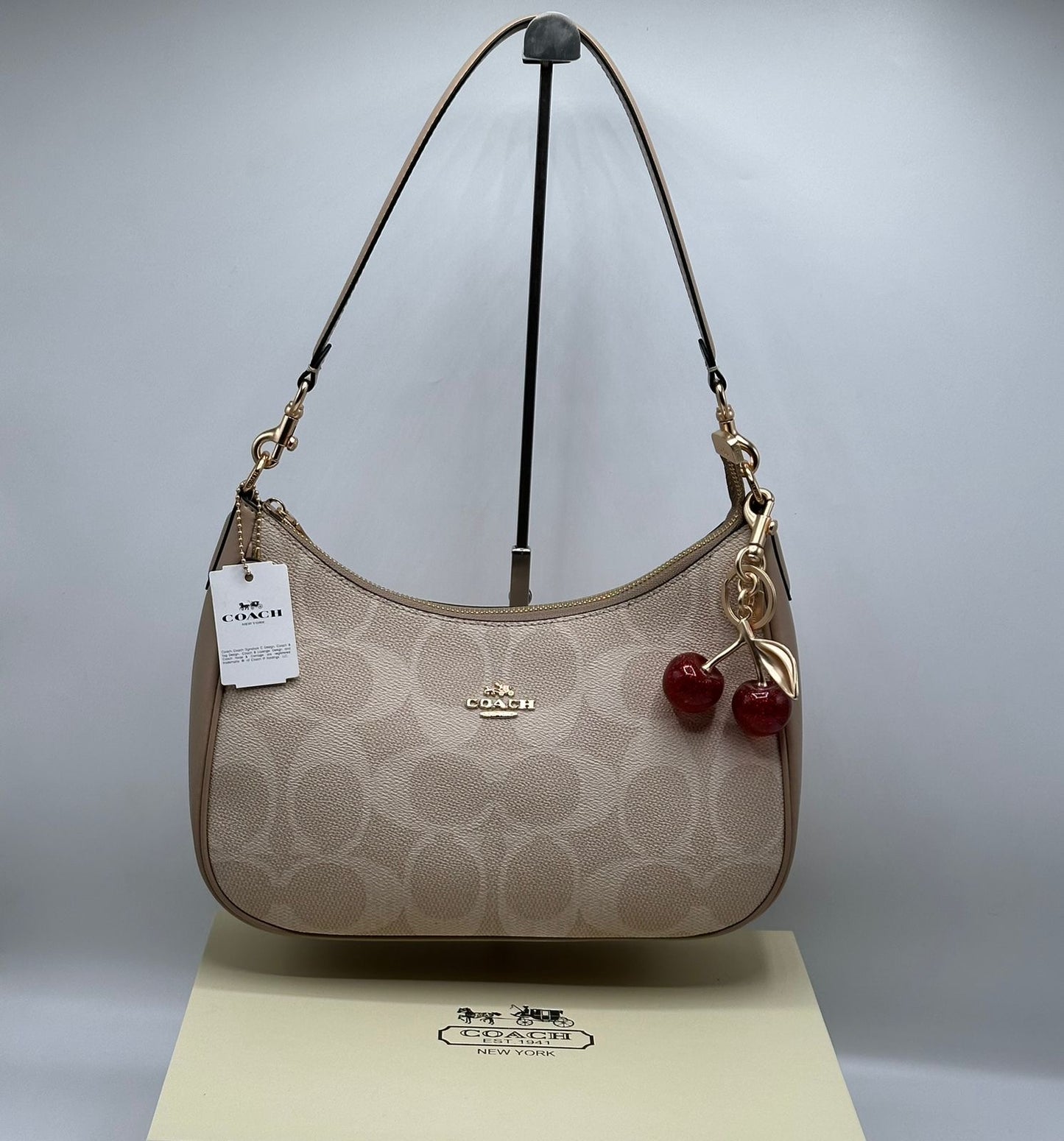 Coach Teri Hobo with Brand Box