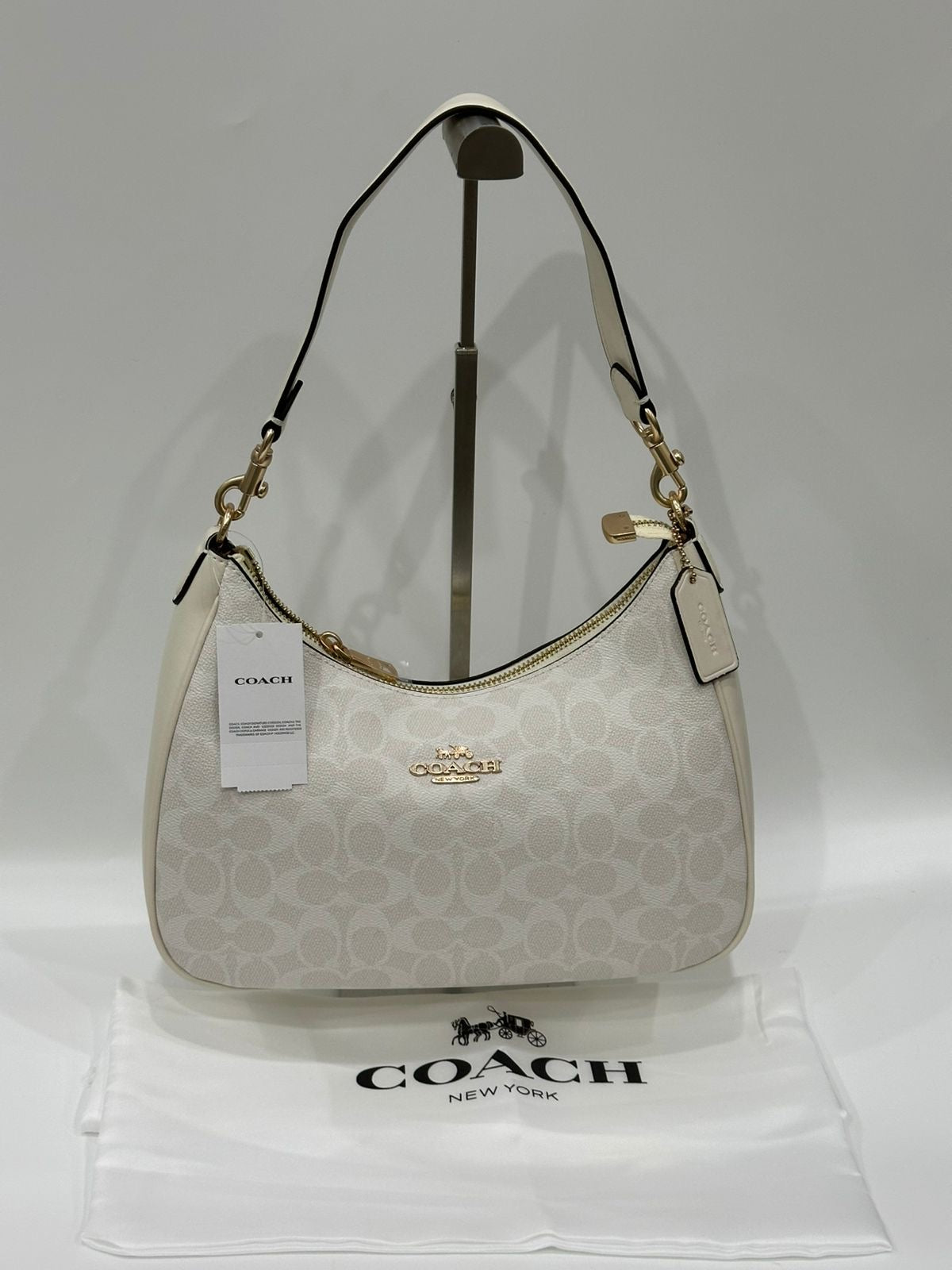 Coach Teri Hobo with Brand Box