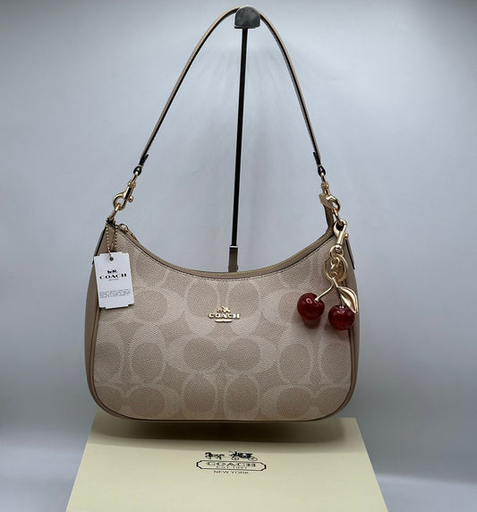 Coach Teri Hobo with Brand Box