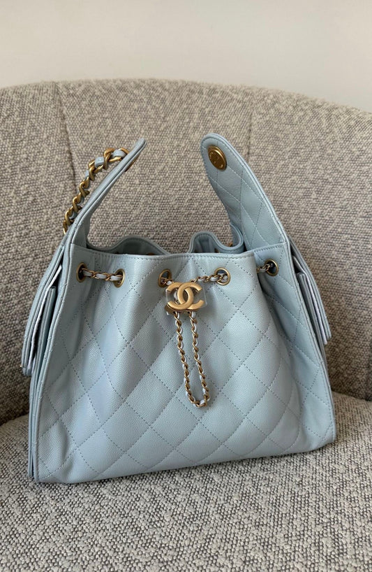 CHANEL 25 Hobo Small with Dust Bag