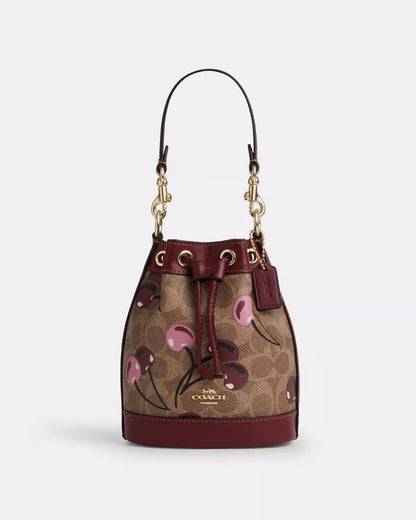 Coach Bucket Bag Small with Brand Box