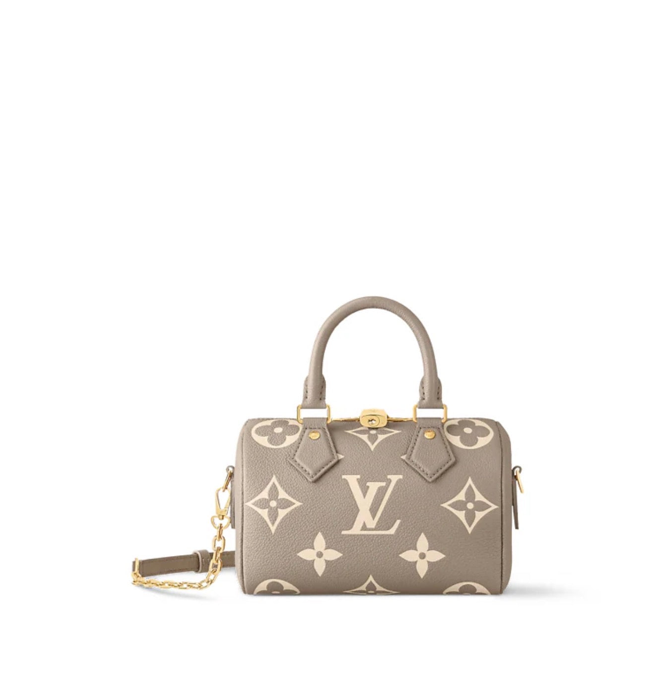 LV Speedy Small with Brand Box