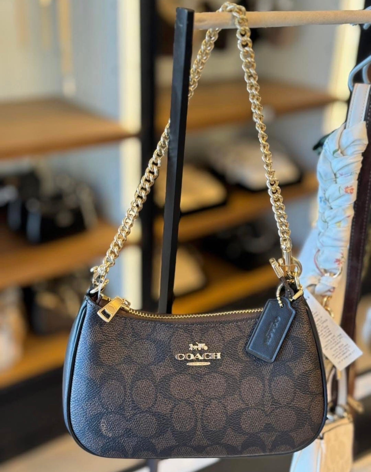 Coach Mini Teri with Brand Box