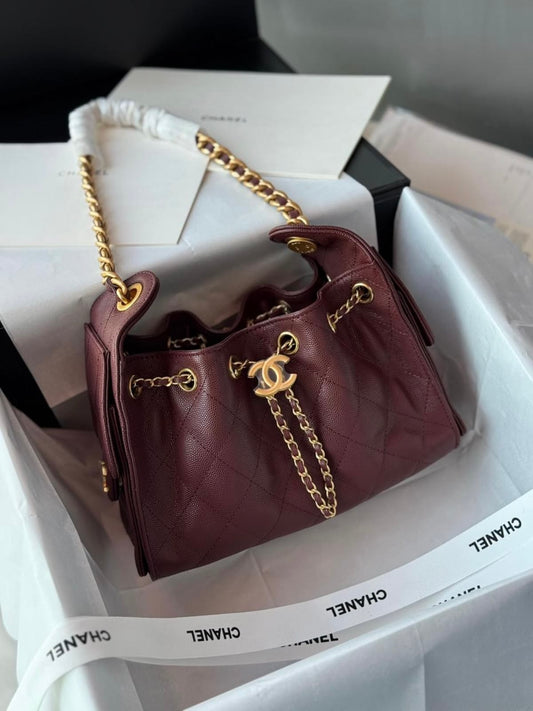 CHANEL 25 Hobo Mini with Complete Packaging