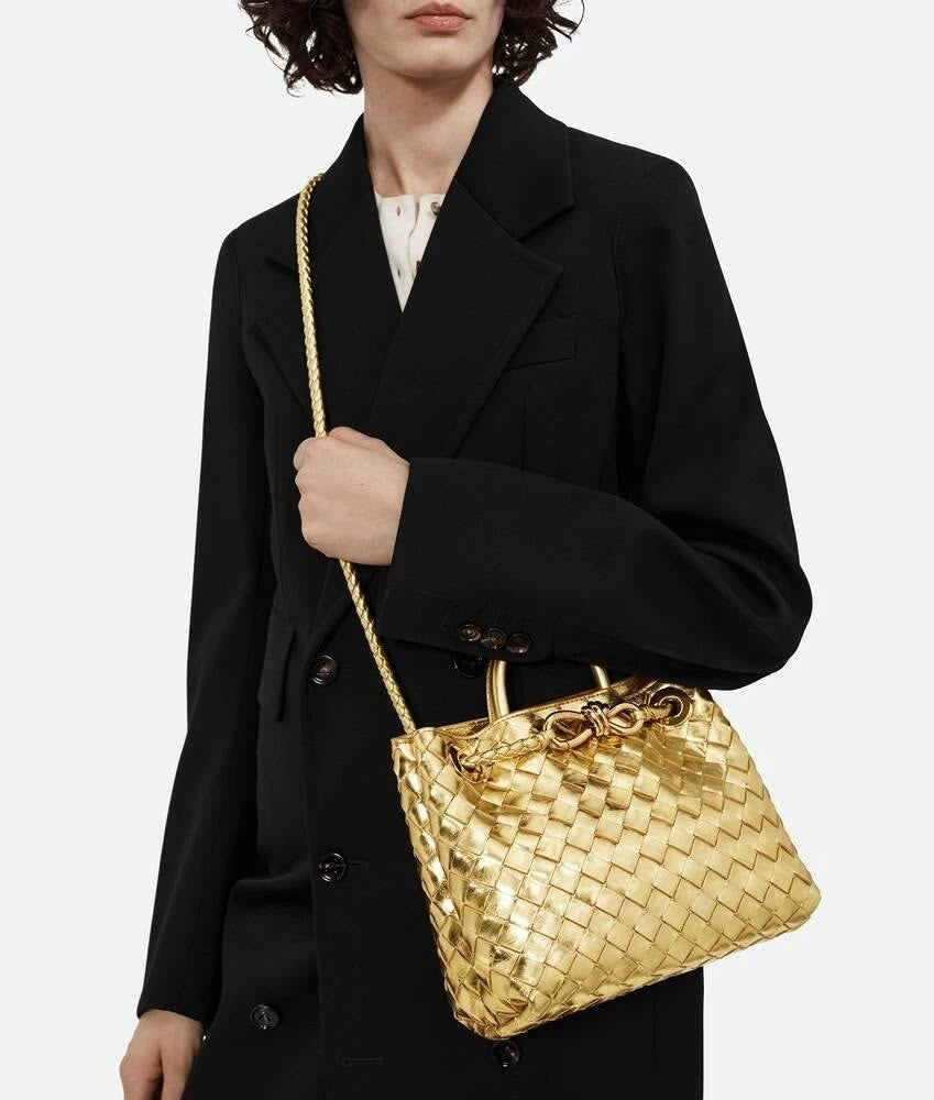 BOTTEGA VENETA BV Andioma Bag - Medium