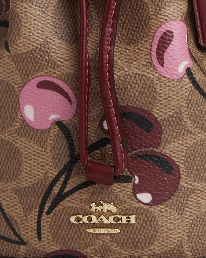 Coach Bucket Bag Small with Brand Box