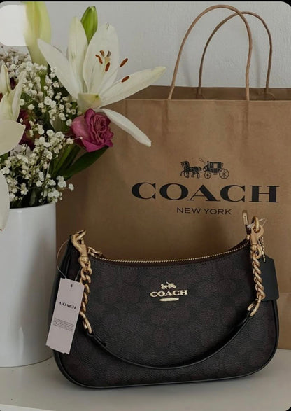 Coach Teri Bag with Brand Box- Same as Original
