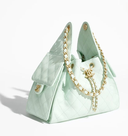 CHANEL 25 Hobo Small with Brand Box