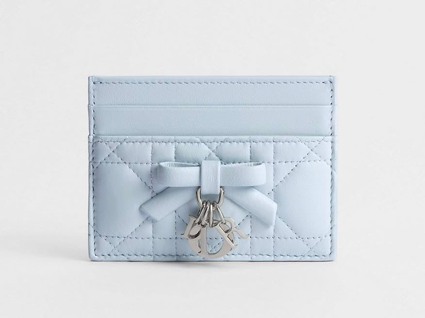 Dior Glycine Cardholder with Brand Box
