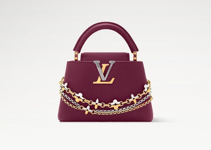 LV Small Cappucine with Original Packaging