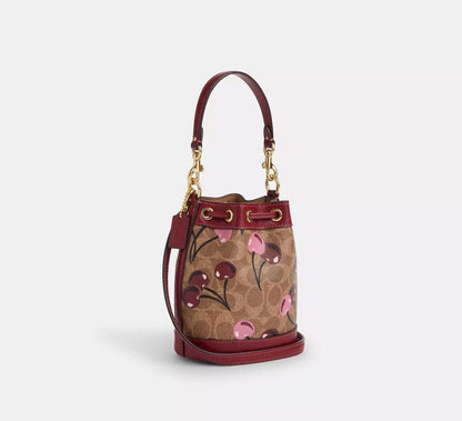 Coach Bucket Bag Small with Brand Box