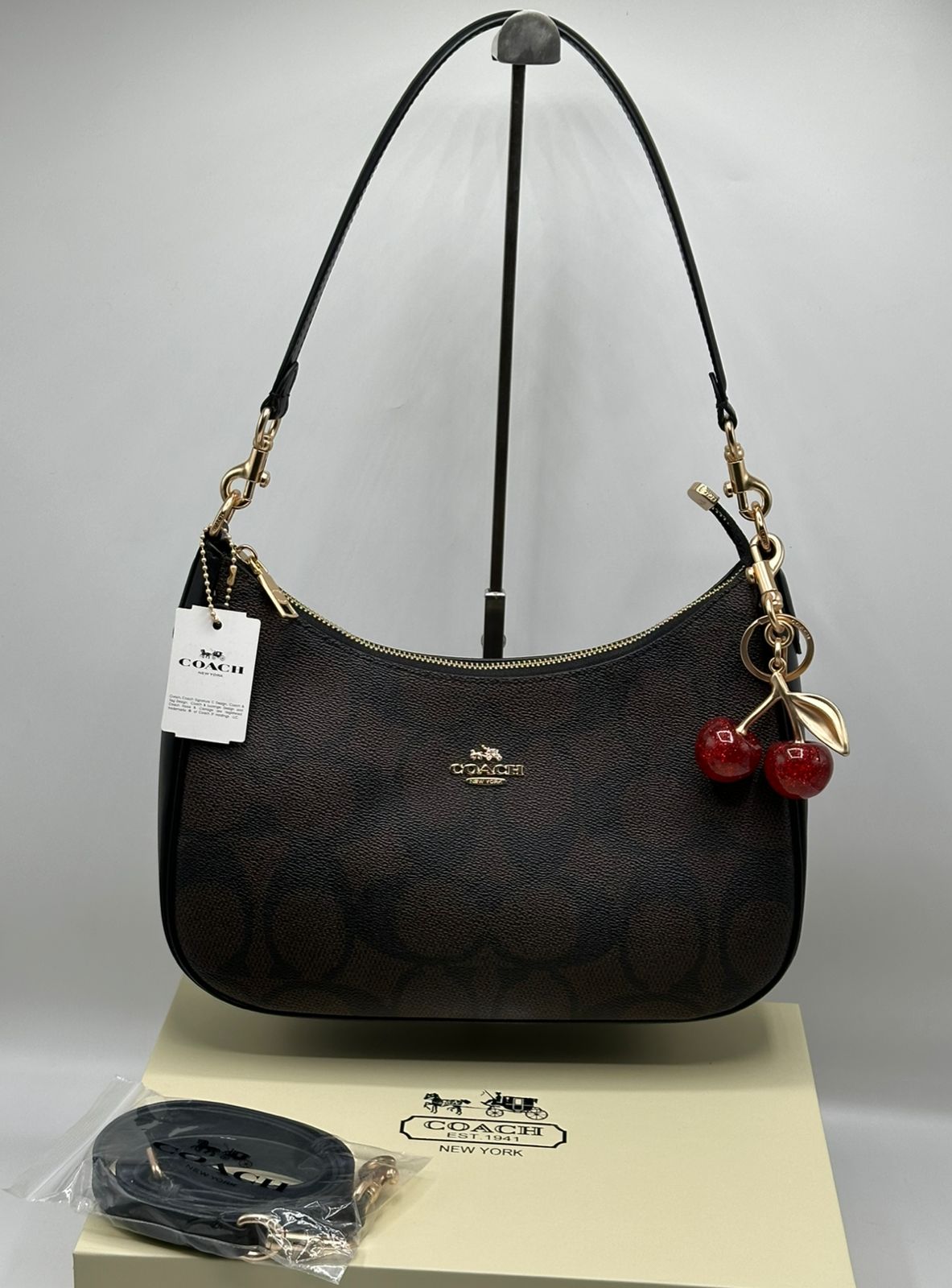 Coach Teri Hobo with Brand Box